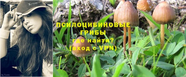 стаф Волоколамск
