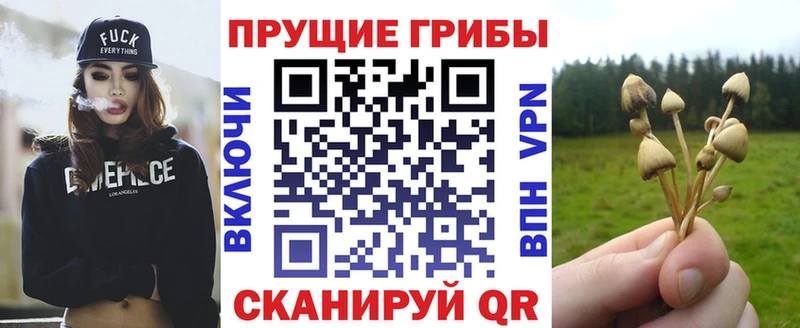 купить наркотики цена  МЕГА зеркало  Галлюциногенные грибы GOLDEN TEACHER  Сретенск 